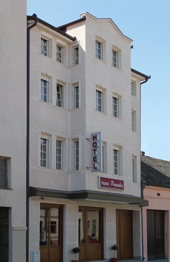 B&B Villa Panuka Pančevo 外观 照片